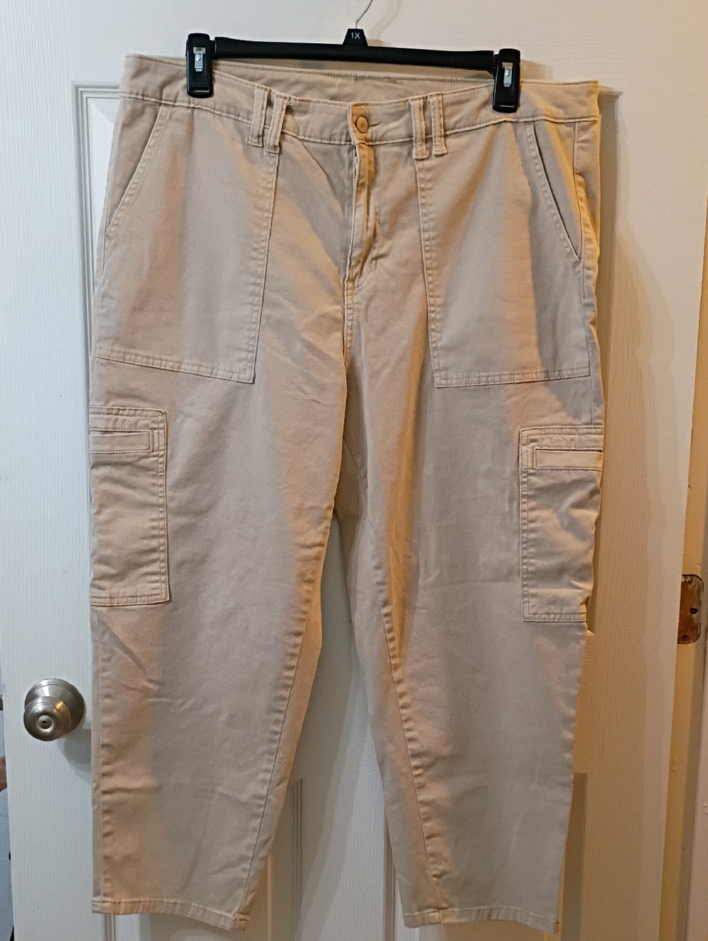 Terra & Sky Beige Cargo Pants for Women